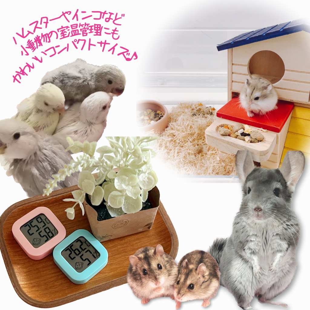 fuu ちいさなデジタル湿度＆温度計