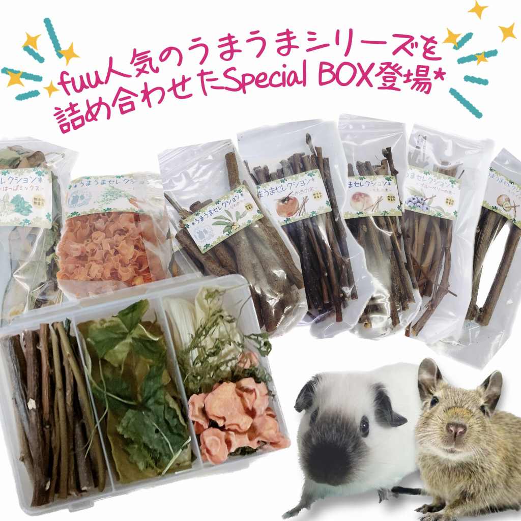 fuu うまうまセレクション 小動物のかじり木・おやつ SpecialアソートBOX