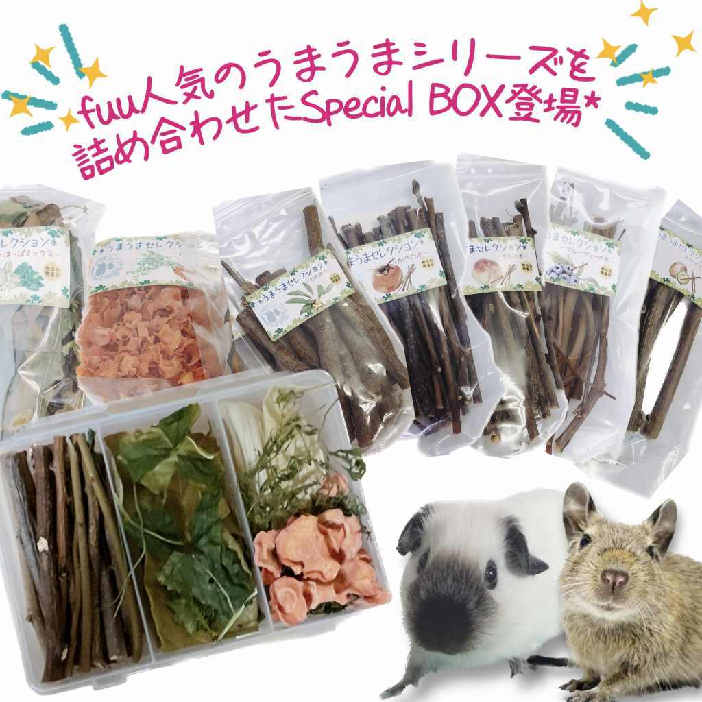 fuu うまうまセレクション 小動物のかじり木・おやつ SpecialアソートBOX