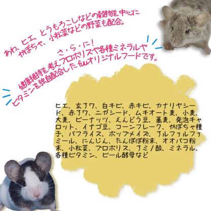 fuu うまうまセレクション マウスのごはん 920g