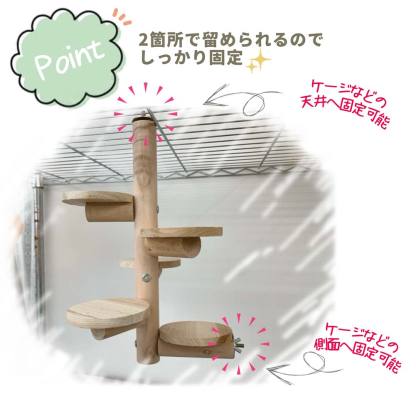 fuu 鳥・小動物の吊るして固定できる木製５段ステップ