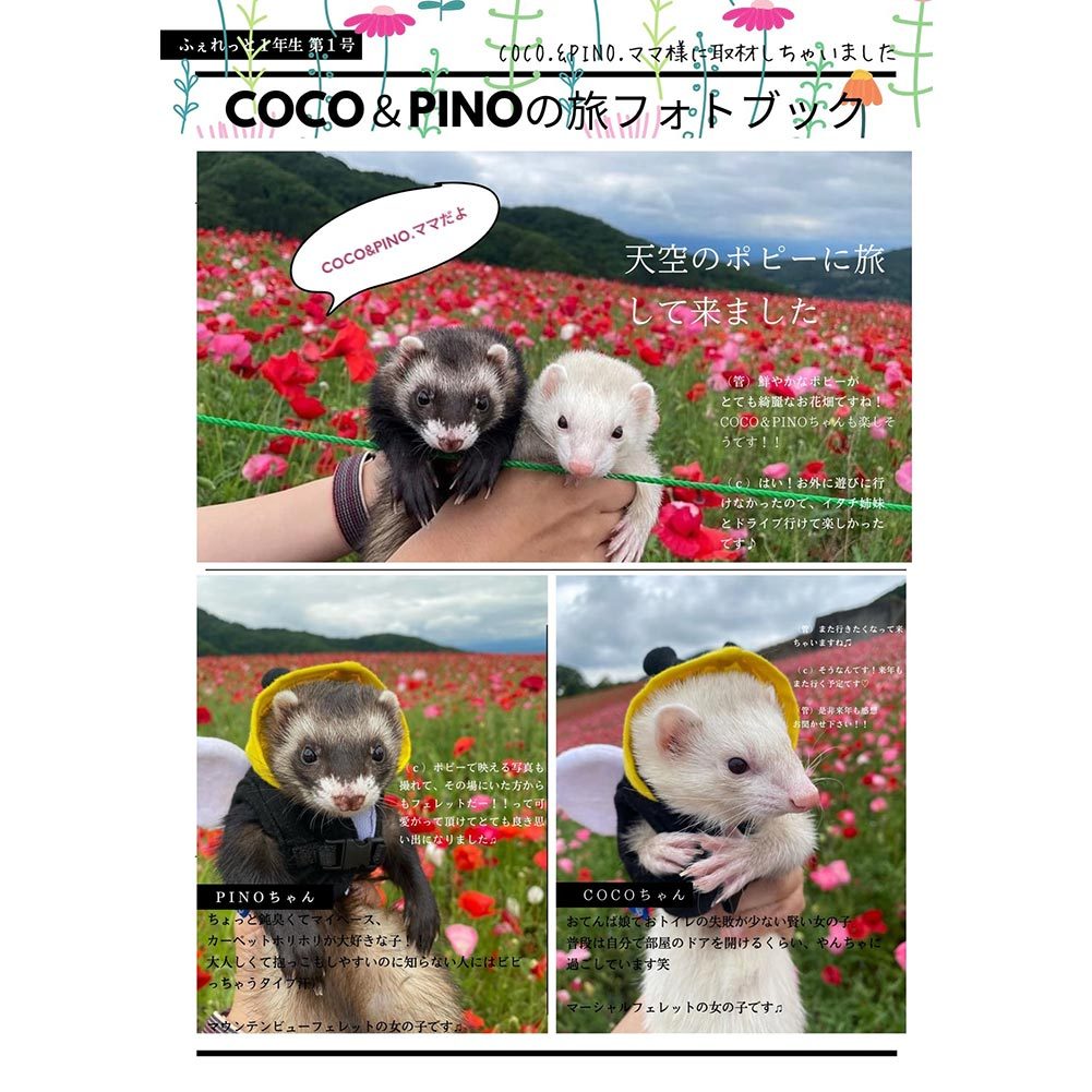 【雑誌】ふぇれっと1年生　vol.1