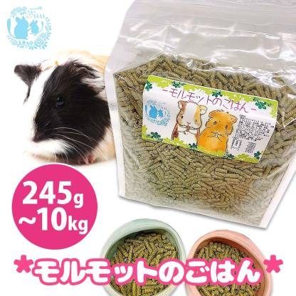 fuu うまうまセレクション モルモットのごはん