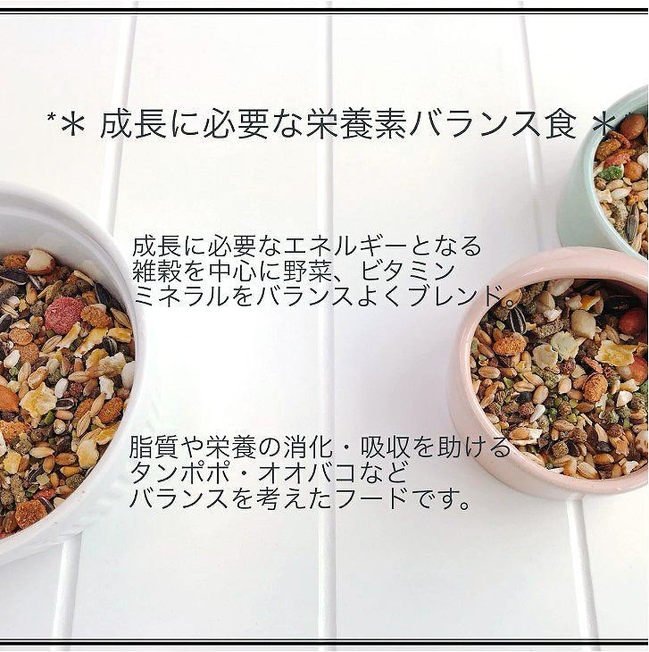 fuu うまうまセレクション リスハムミックスプラス 215g