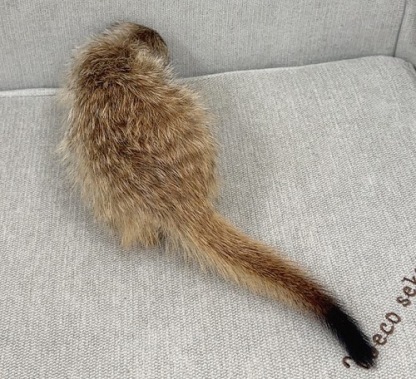 ミーアキャット MK-M757