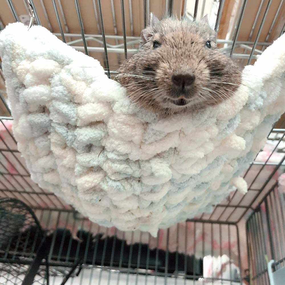 fuu 小動物用 ふわふわ手編みハンモック カラーランダム
