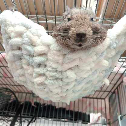 fuu 小動物用 ふわふわ手編みハンモック カラーランダム