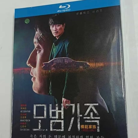 韓国ドラマ「模範家族」 Blu-ray ブルーレイ　チョンウ、パク・ヒスン、ユン・ジンソ 日本語吹替あり　高画質 全話 海外盤