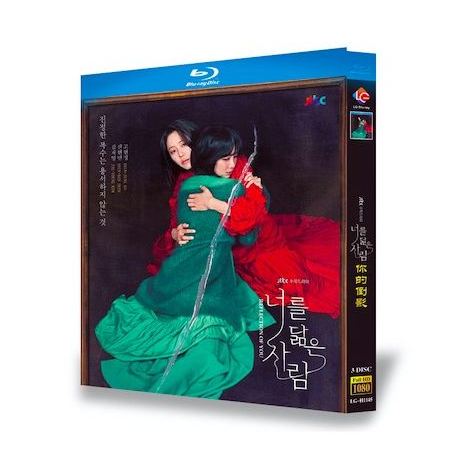 韓国ドラマ『あなたに似た人』ブルーレイ Blu-ray 日本語字幕あり　コ・ヒョンジョン シン・ヒョンビン 全話 海外盤