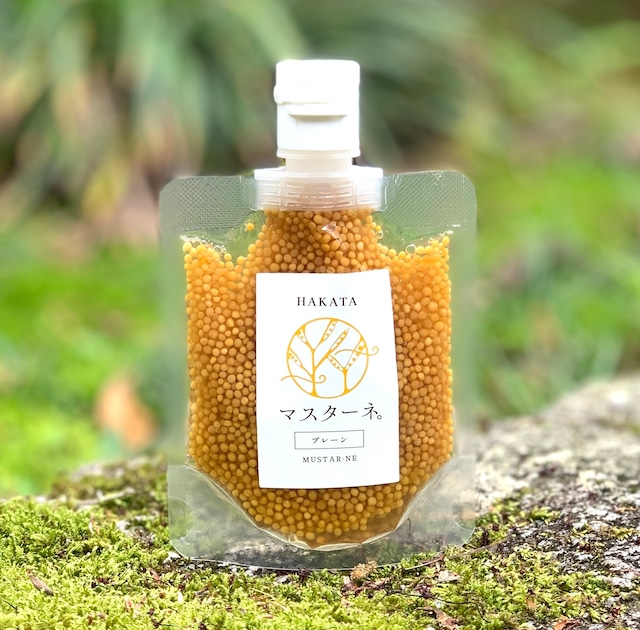 マスターネ。（プレーン）　120g