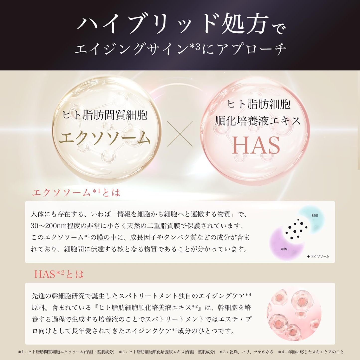 スパトリートメント HAS ストレッチiシート exo 60枚