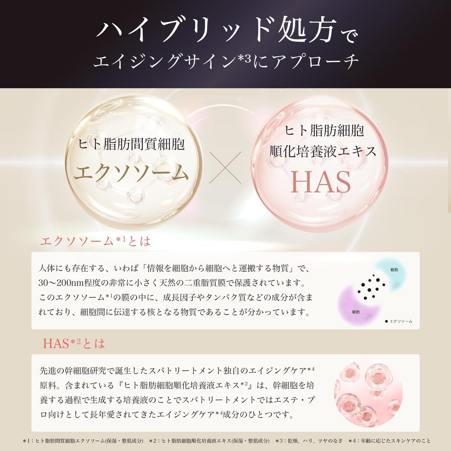 スパトリートメント HAS ストレッチiシート exo 60枚