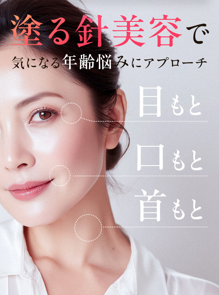 パーフェクトニードルプレミアム