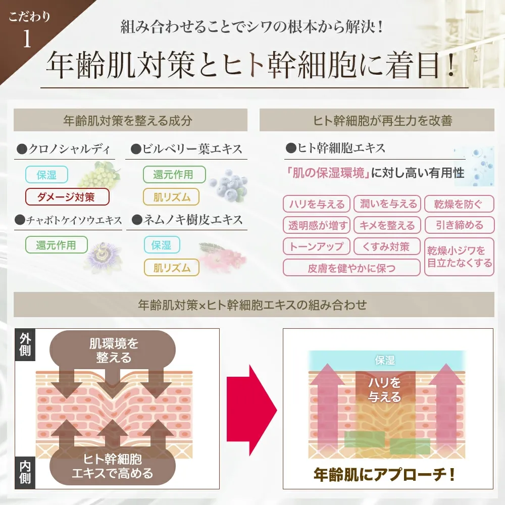 オーガリバクルセラム