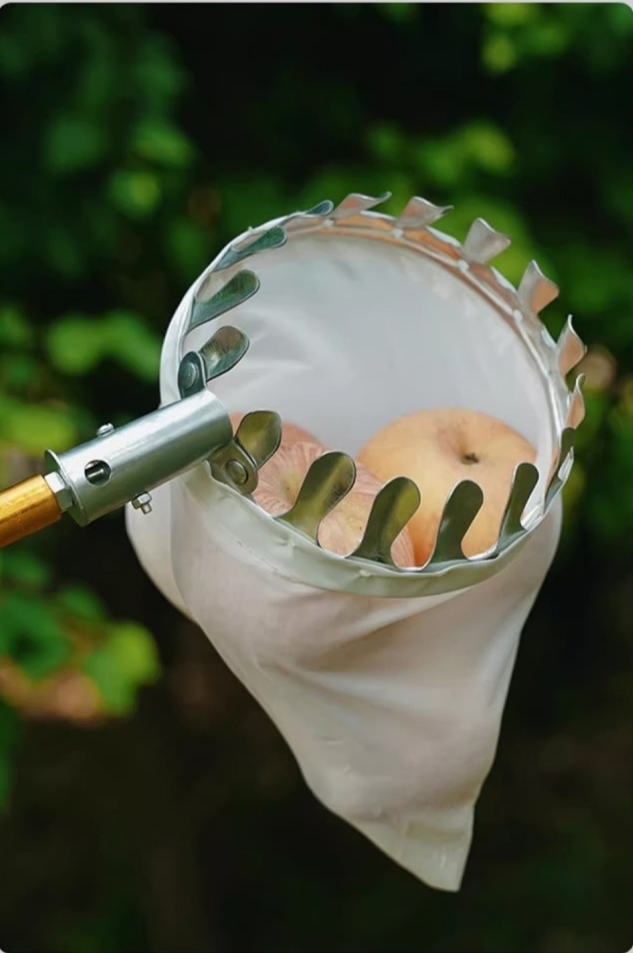 ตะกร้อสอยผลไม้แบบยืดไสลด์