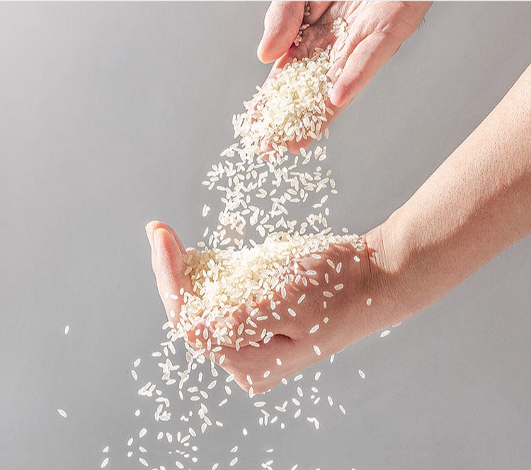 ข้าวบุก