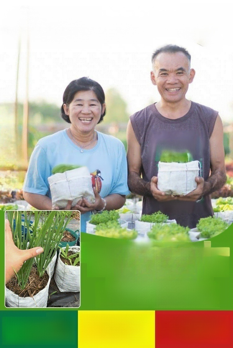 【สวรรค์แห่งการเพาะปลูก】ถุงปลูกต้นกล้าที่ย่อยสลายได้