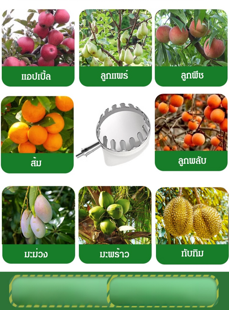 ตะกร้อสอยผลไม้แบบยืดไสลด์