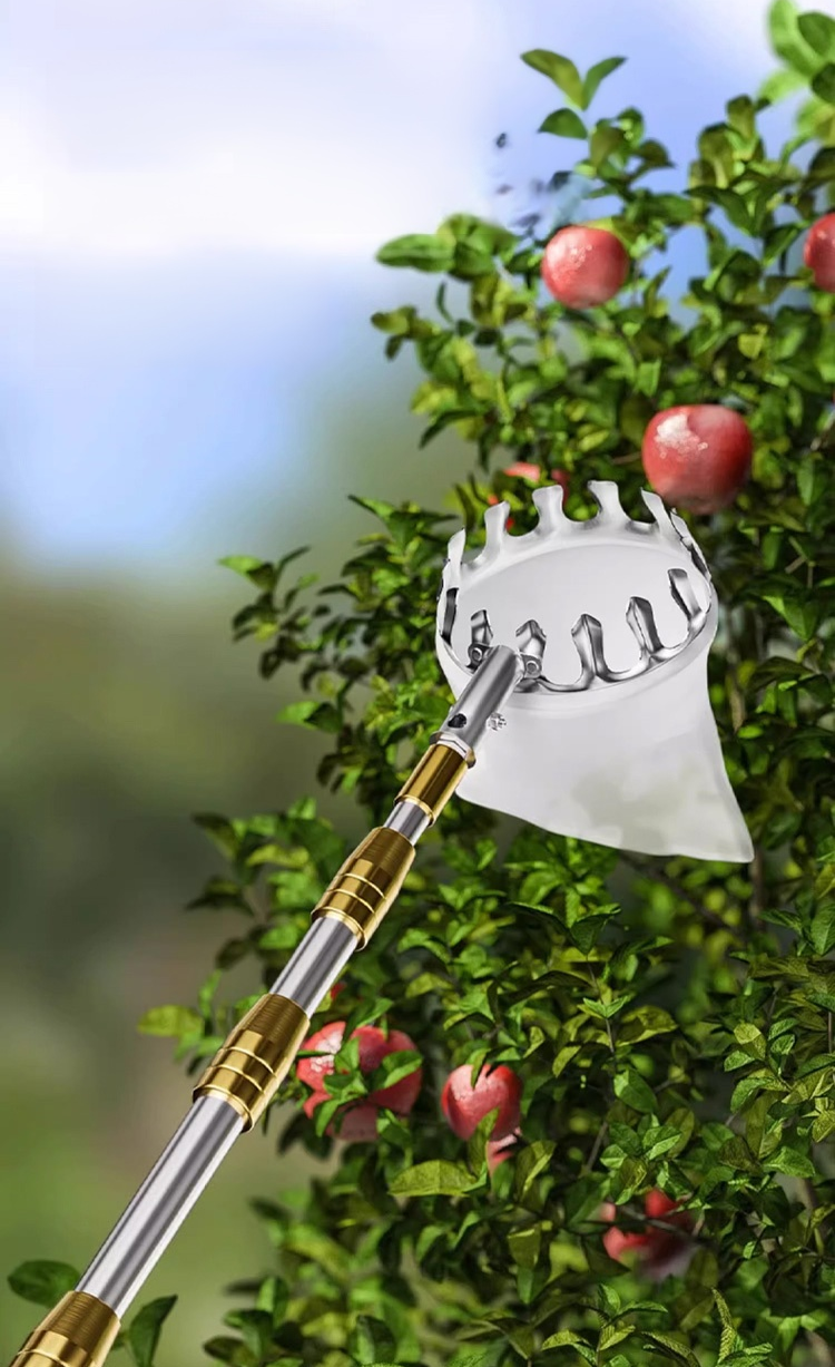 ตะกร้อสอยผลไม้แบบยืดไสลด์