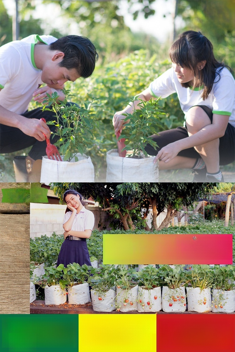 【สวรรค์แห่งการเพาะปลูก】ถุงปลูกต้นกล้าที่ย่อยสลายได้