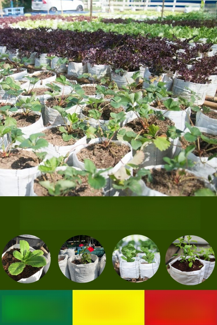 【สวรรค์แห่งการเพาะปลูก】ถุงปลูกต้นกล้าที่ย่อยสลายได้