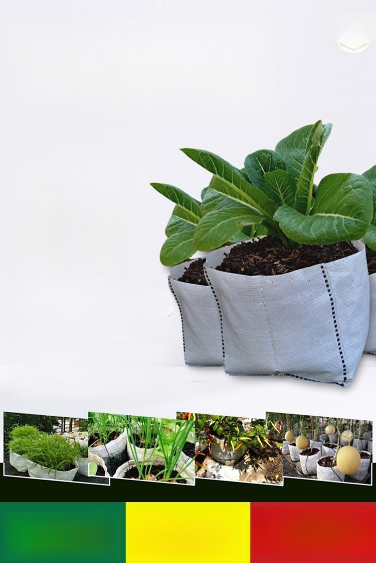 【สวรรค์แห่งการเพาะปลูก】ถุงปลูกต้นกล้าที่ย่อยสลายได้
