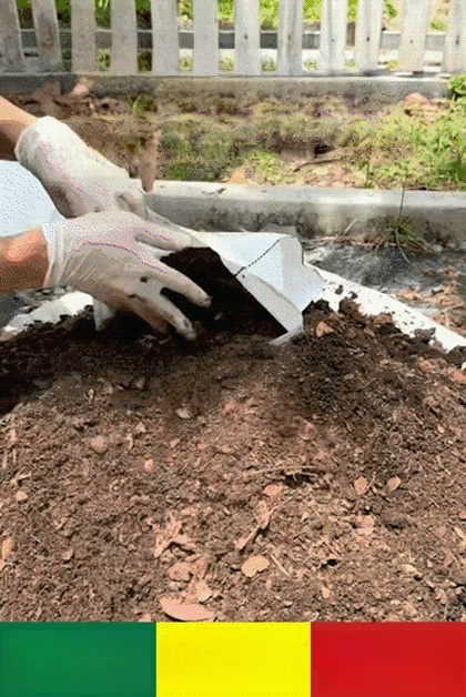 【สวรรค์แห่งการเพาะปลูก】ถุงปลูกต้นกล้าที่ย่อยสลายได้