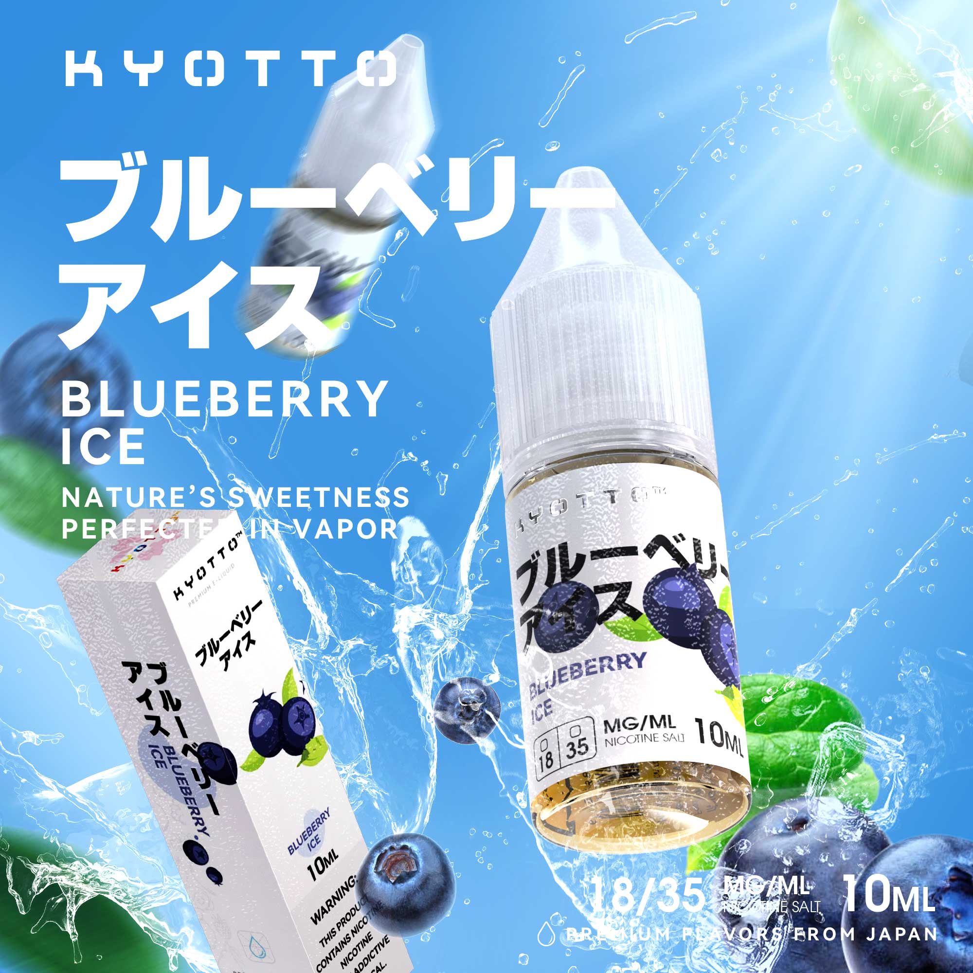 Blueberry Ice E-liquid 10ml