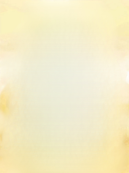 天貝枇杷柑橘片