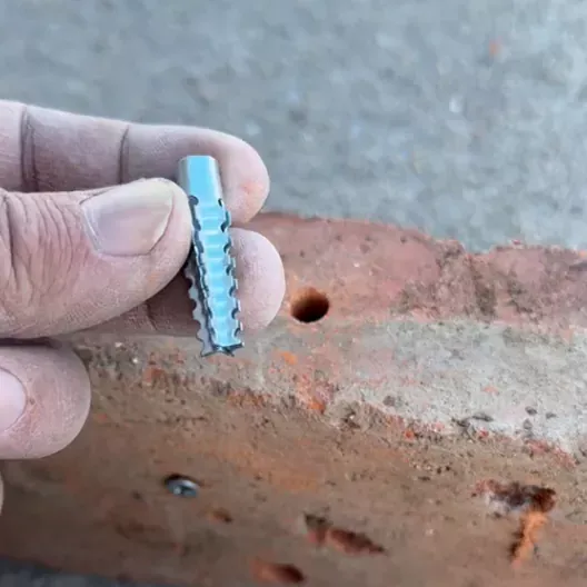 鋸齒壁虎膨脹螺絲