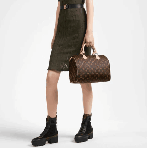 LOUIS VUITTON スピーディ 30