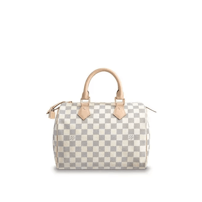 LOUIS VUITTON スピーディ 30