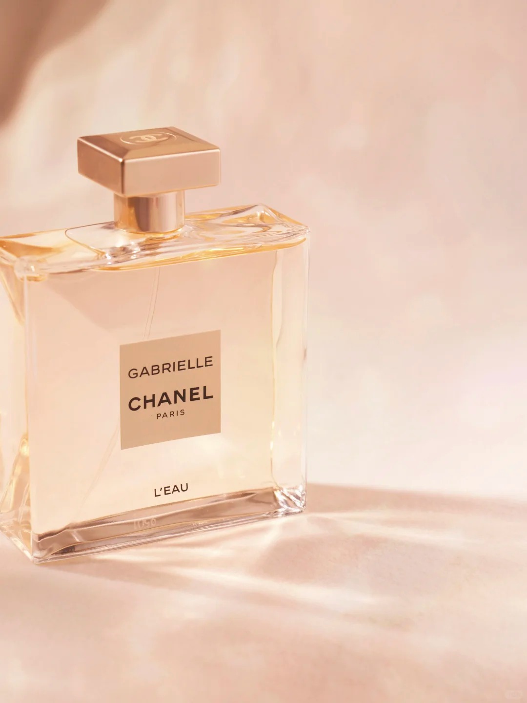 ガブリエル シャネル