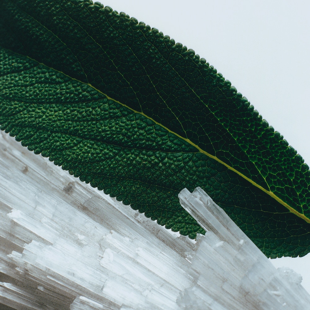 Jo Malone Wood Sage & Sea Salt Cologne