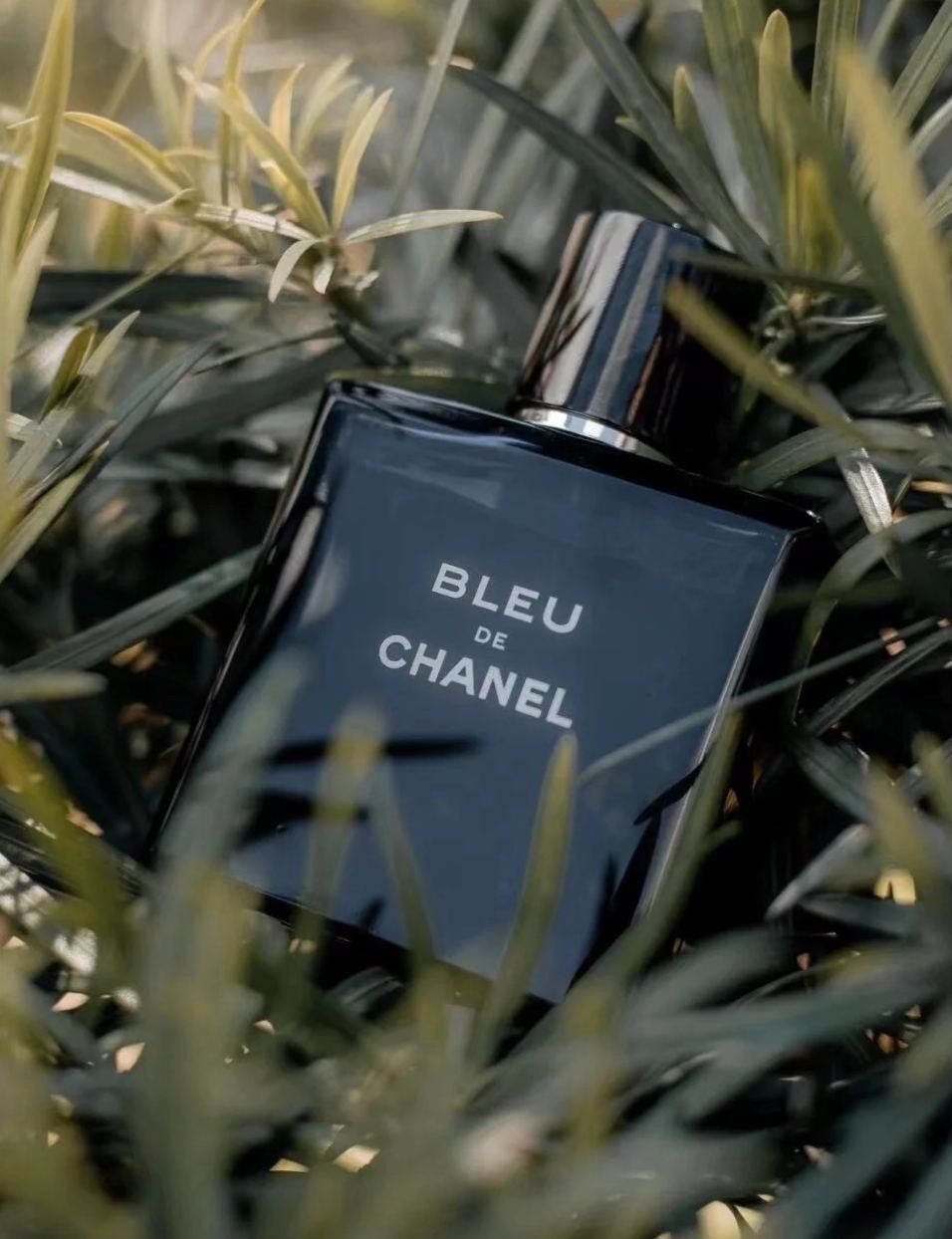 シャネル ブルー ドゥ シャネル パフューム