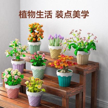 SB Succulent Building Block Set