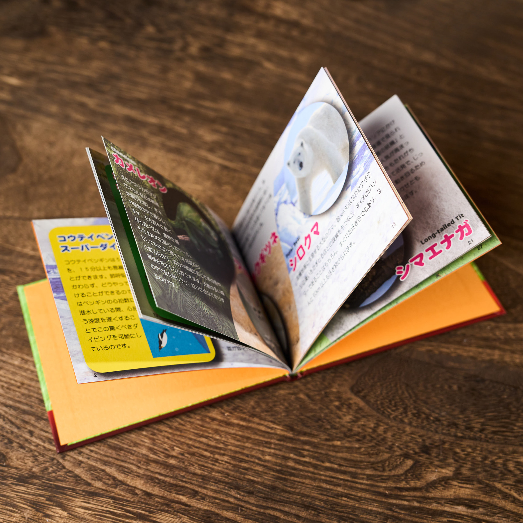 Mentalist's Animal Photo Book 2024 by Tenyo Magic