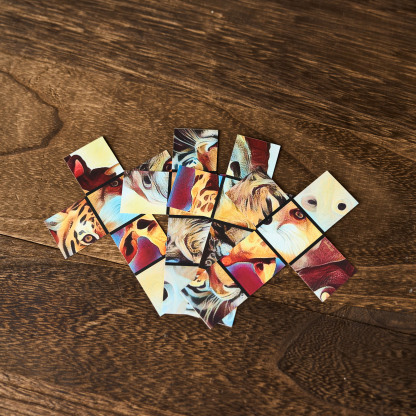 Flash Cube by Tenyo Magic