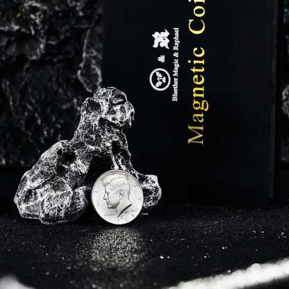 Magnetic Coin by Bluether Magic and Raphael