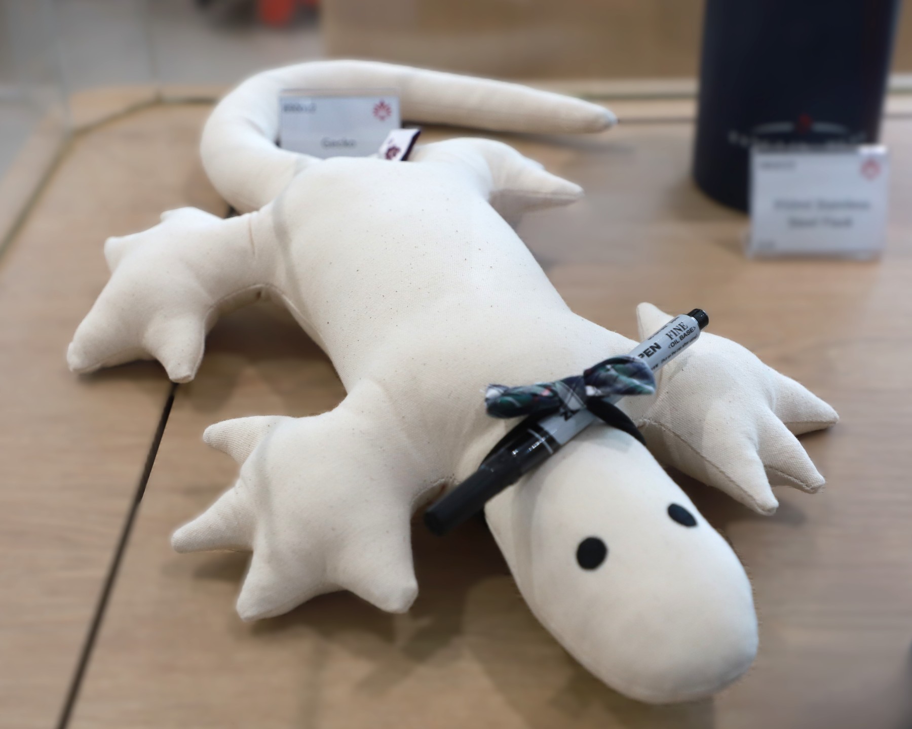 GOODBYE GEKCO | The Shop at Tanglin Trust School