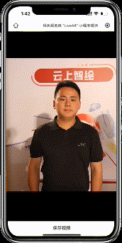 AI 视频效果示例