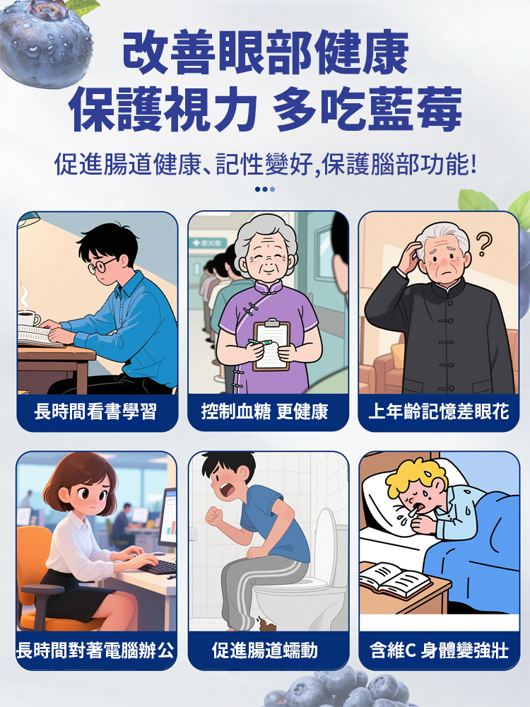 【眼睛好搭檔】無添加天然野藍莓幹