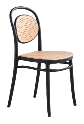 PP Chair 4838