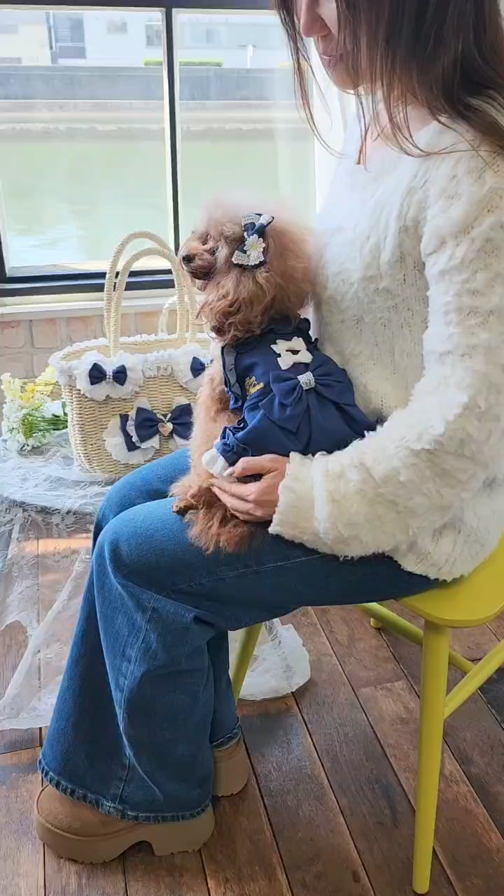 BK-008ﾃﾞﾆﾑﾊﾞﾚｯﾀ付きかごﾊﾞｯｸﾞ