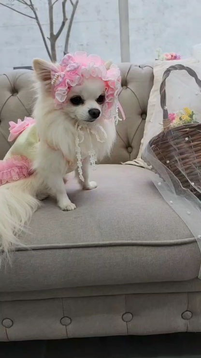 HD-034 ハートギンガムヘッドドレス