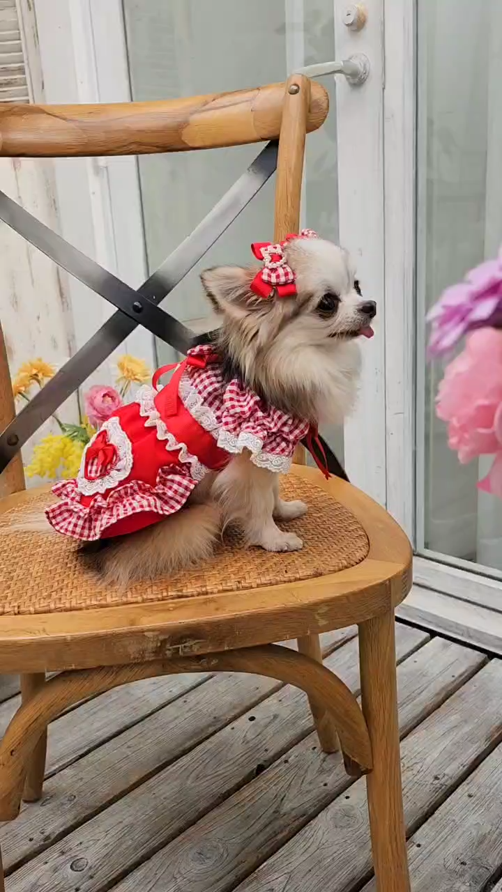 1177 ハートギンガムワンピース レッド