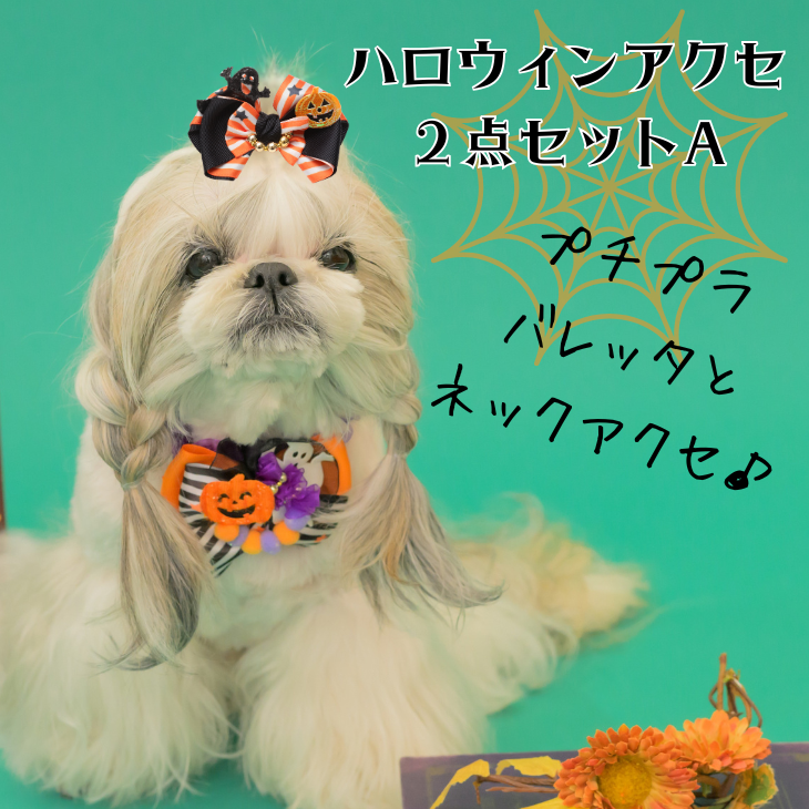 ハロウィンアクセ２点セットA