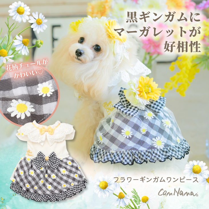 1154 ﾌﾗﾜｰｷﾞﾝｶﾞﾑﾜﾝﾋﾟｰｽ ﾌﾞﾗｯｸ