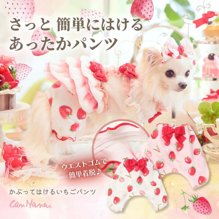1170かぶってはける いちごパンツ – 【公式】CanNana（きゃんナナ