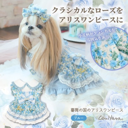 1187薔薇の国のアリスワンピース　ブルー